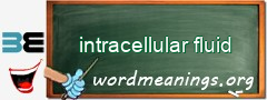 WordMeaning blackboard for intracellular fluid